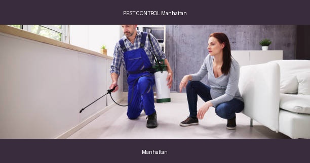 PEST CONTROL Manhattan